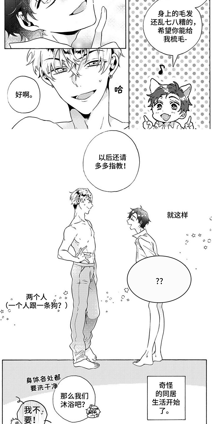 第13话12