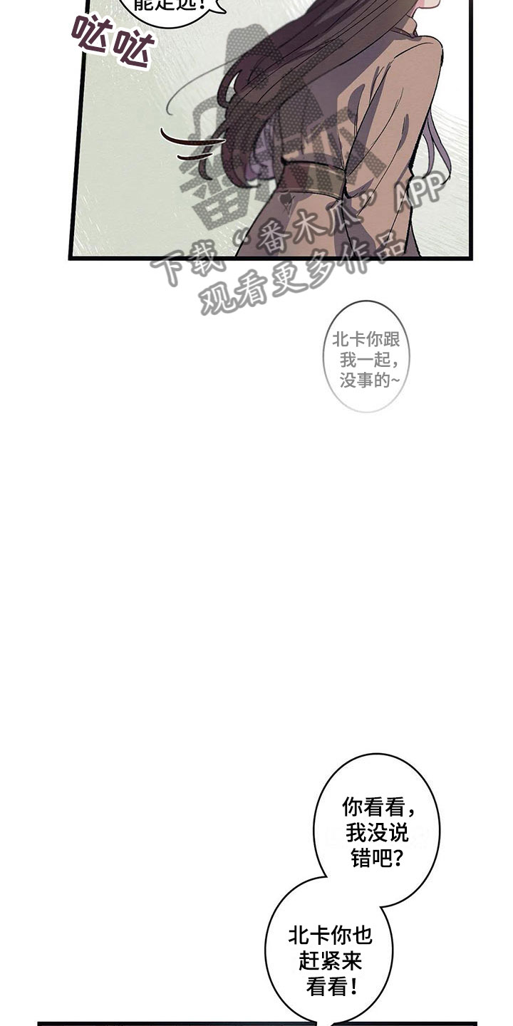第8话7