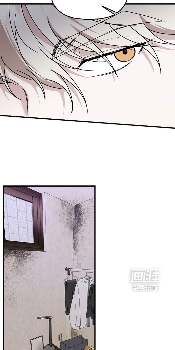 第44话6
