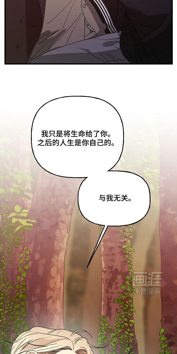 第51话11