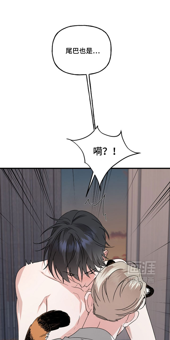 第52话24