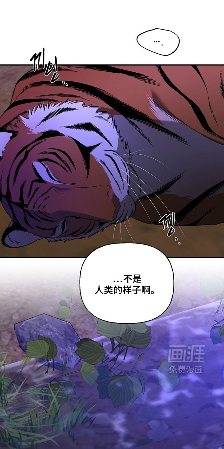 第63话0