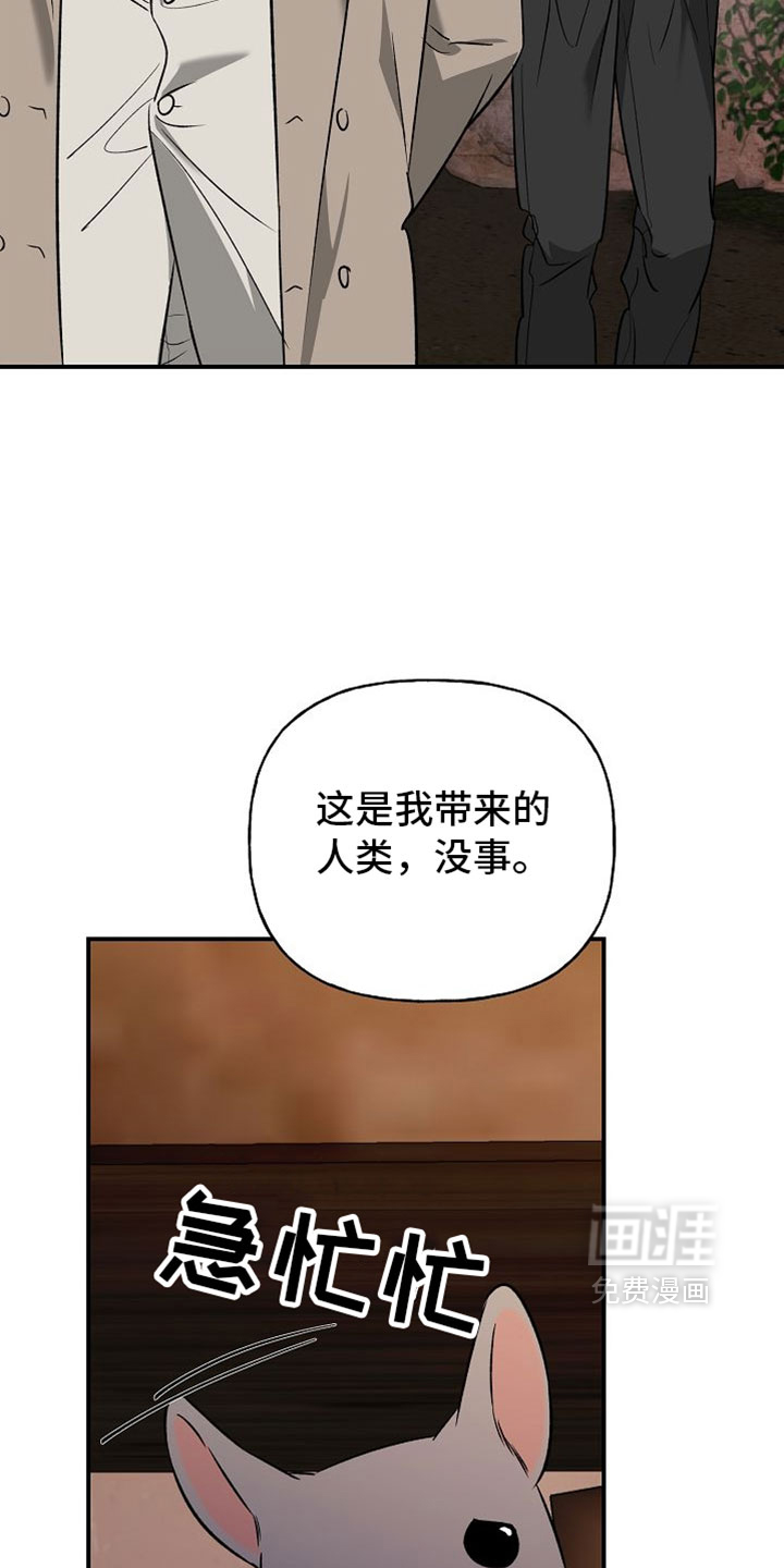 第60话9