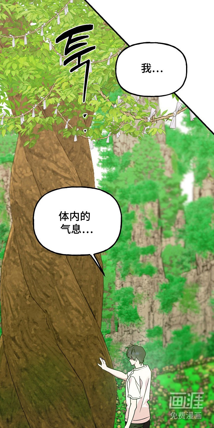 第22话11