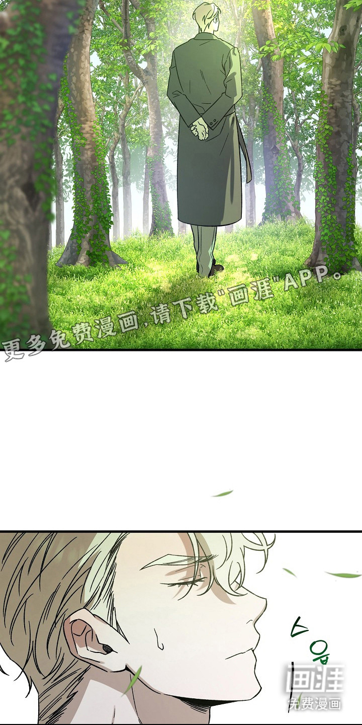 第10话11