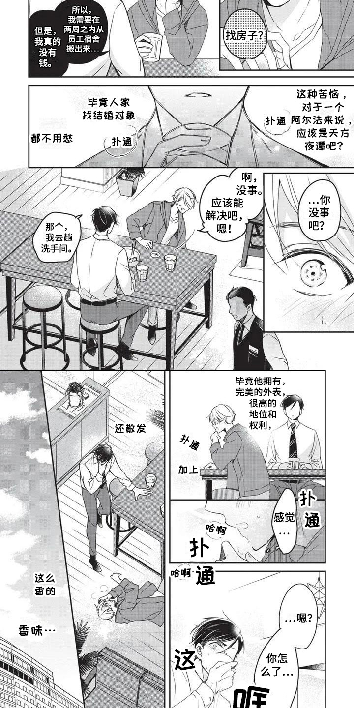 第11话6