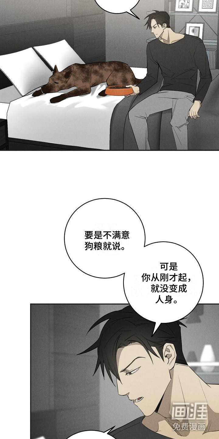 第8话12