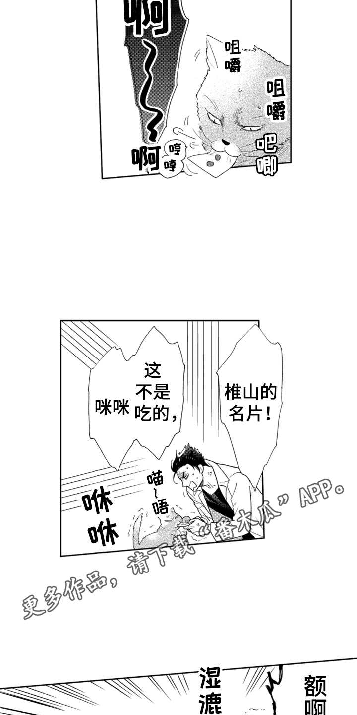 第6话6