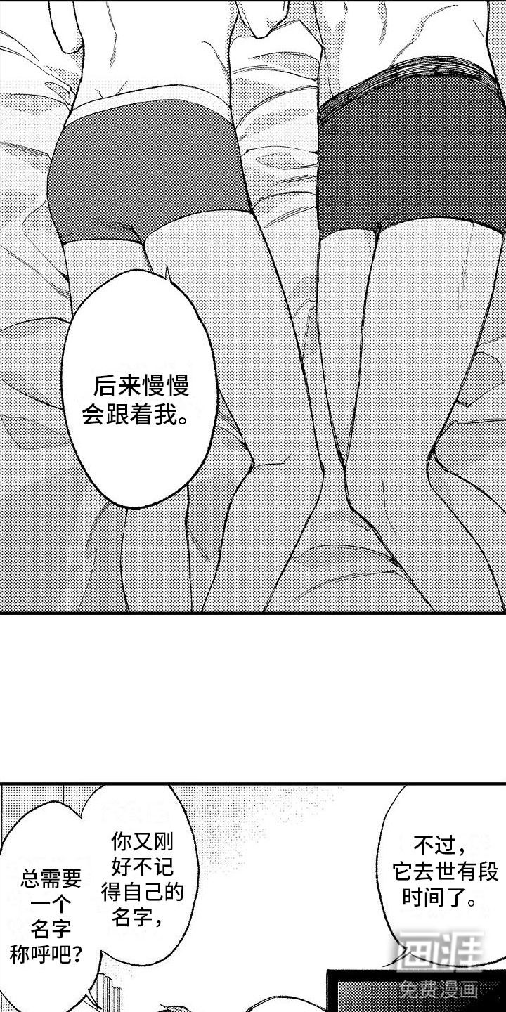 第14话11