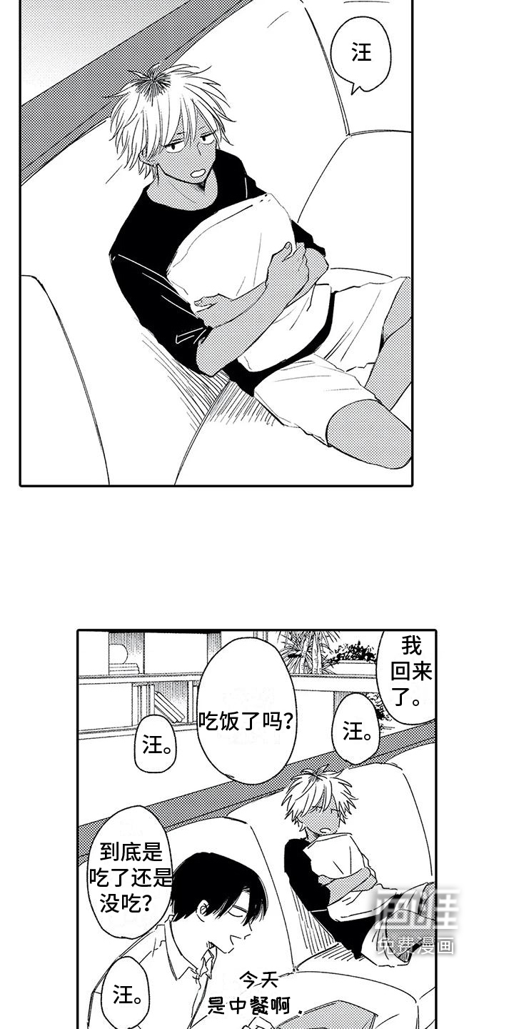 第8话11