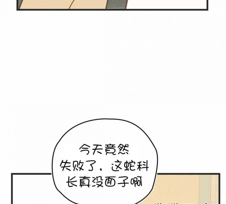 第210话2