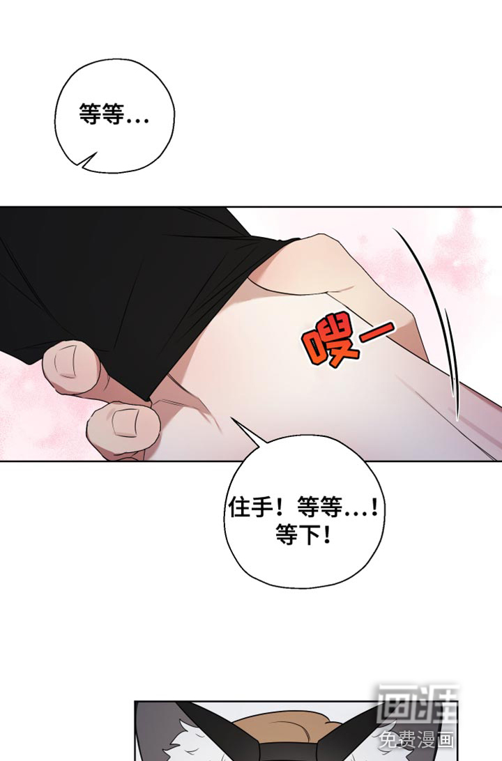 第10话5