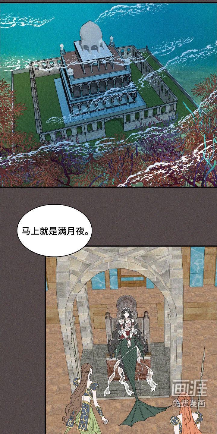 第35话16