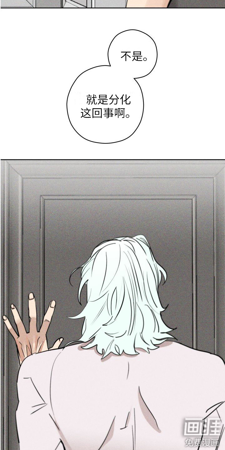第7话13