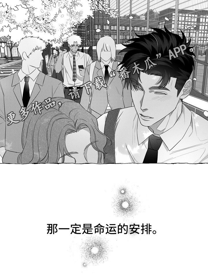 第11话14