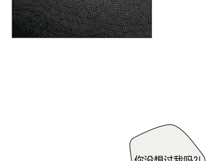 第40话11