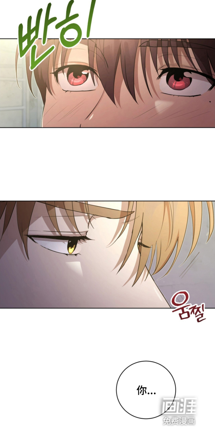 第10话5