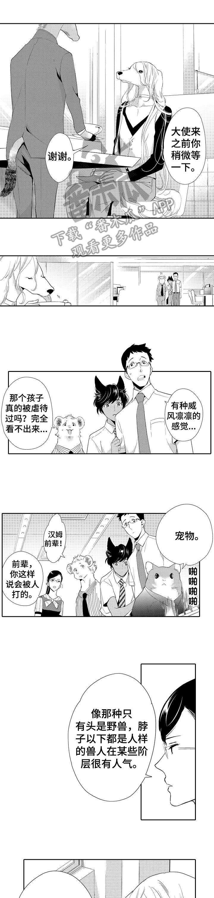 第13话5