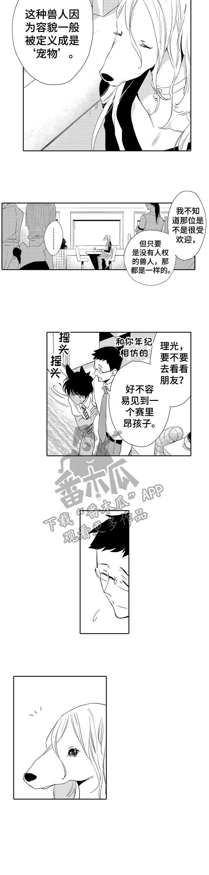 第13话6