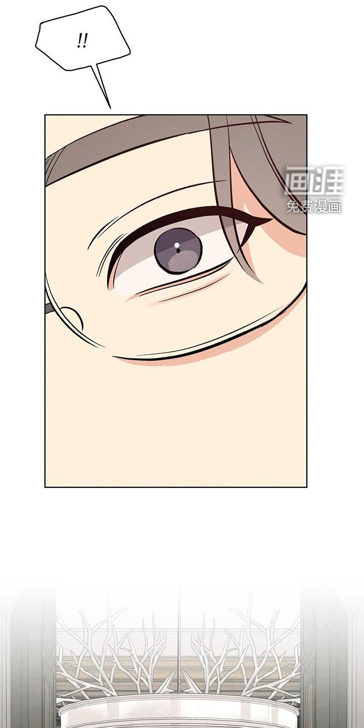 第29话5