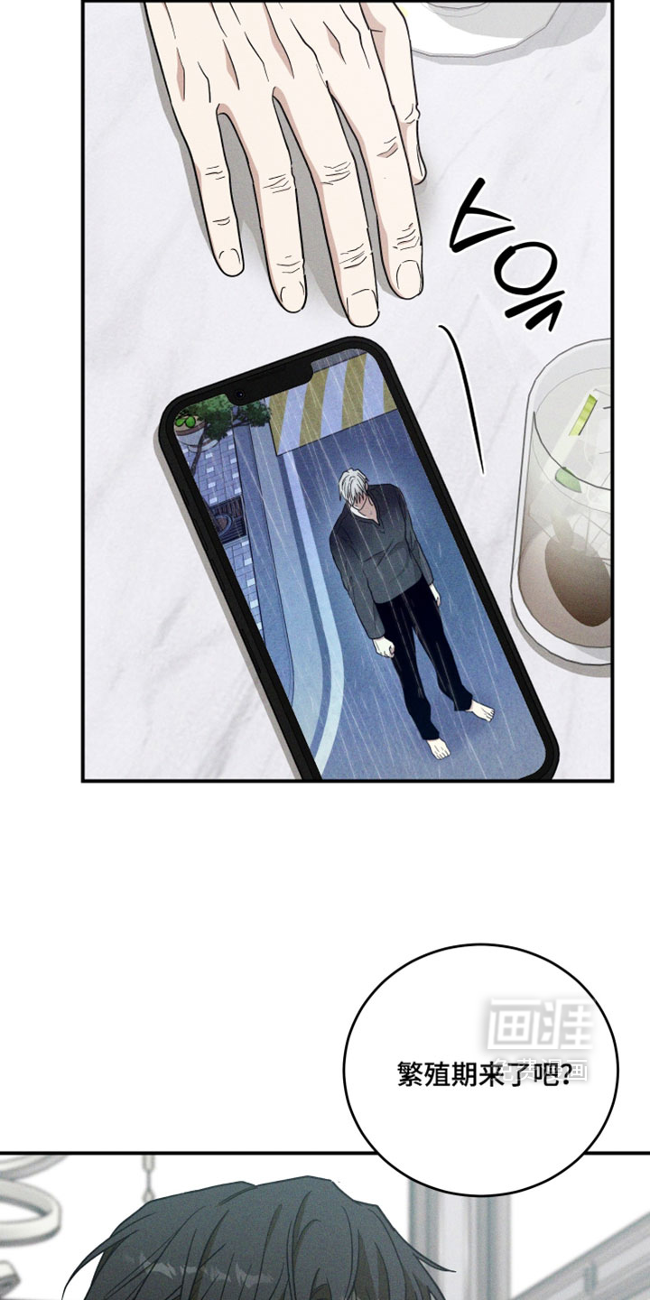 第38话10