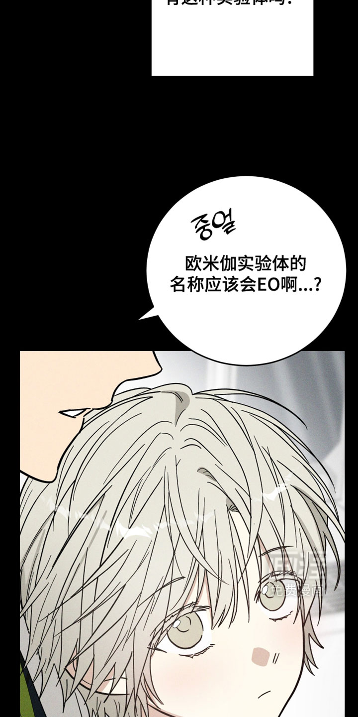 第19话21
