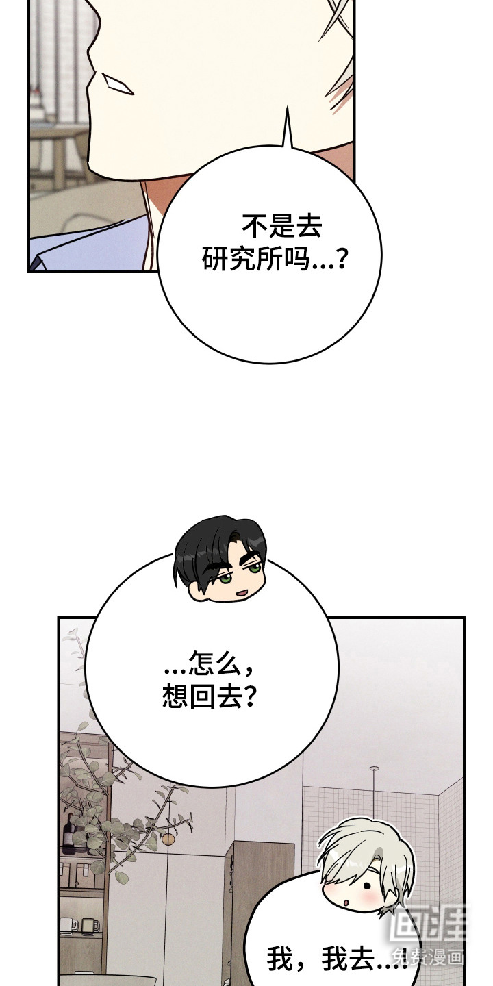 第10话6