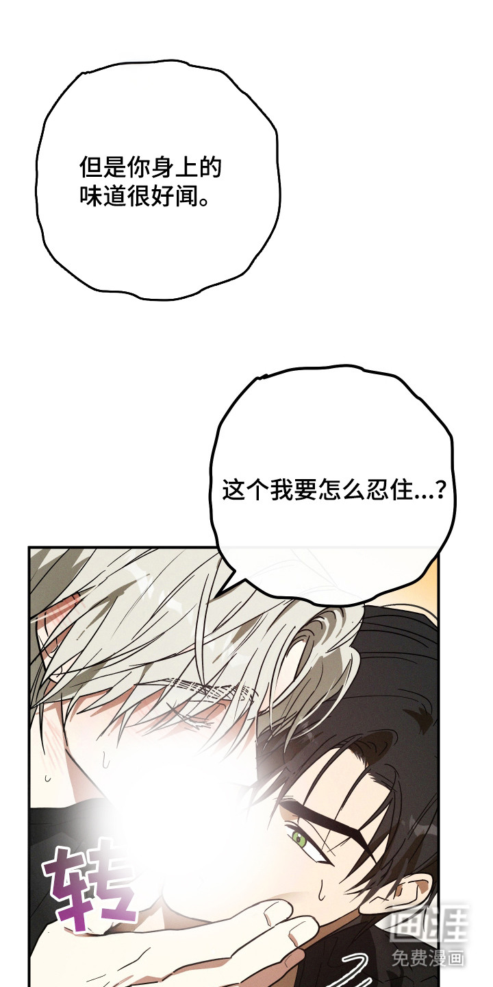 第7话8