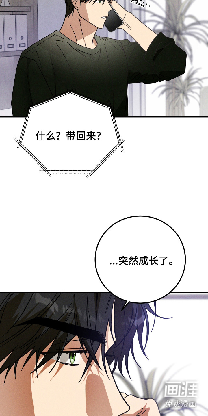 第5话17