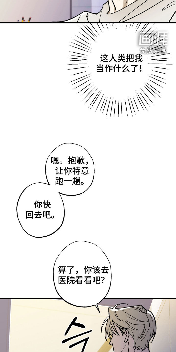 第28话11