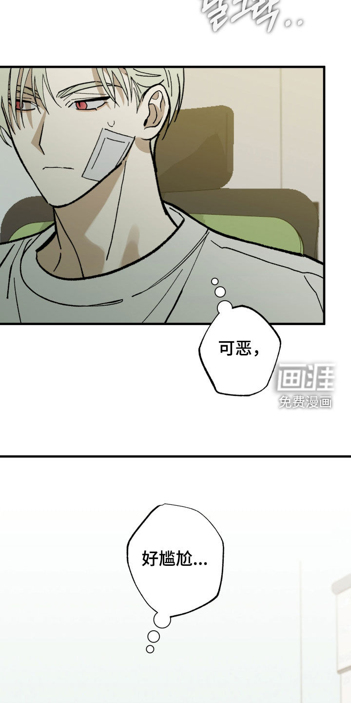 第29话11