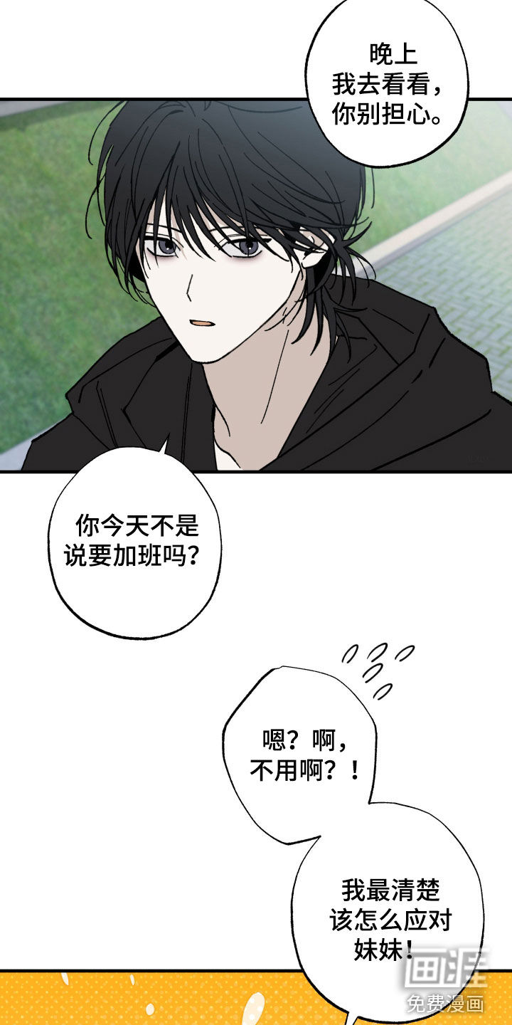 第31话22