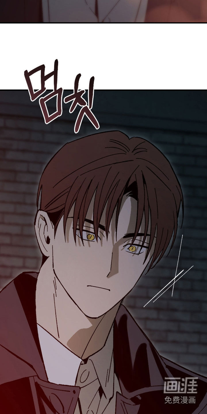第43话17