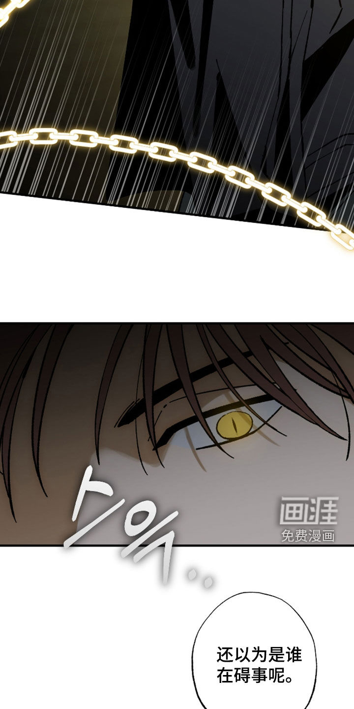 第43话33
