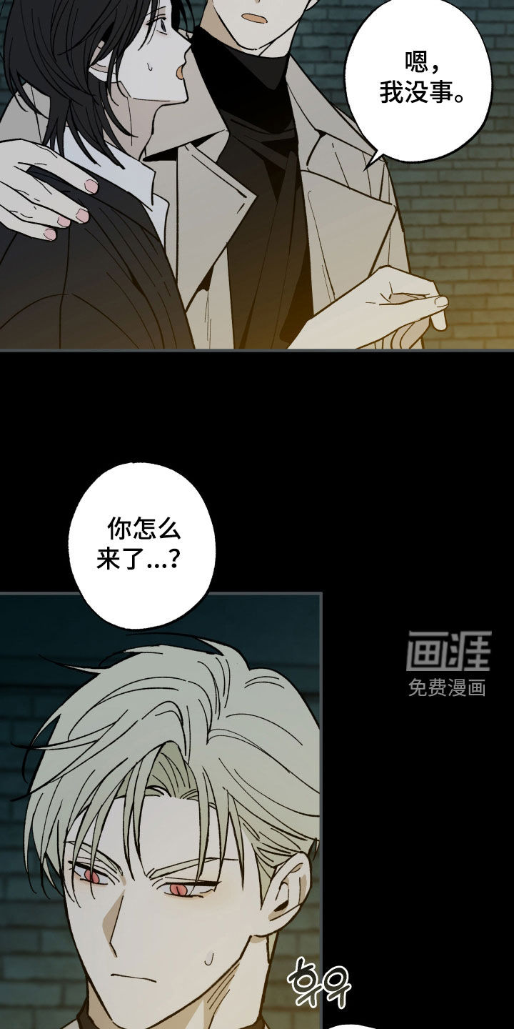 第44话12