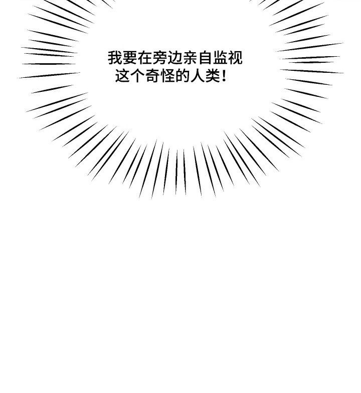 第13话19