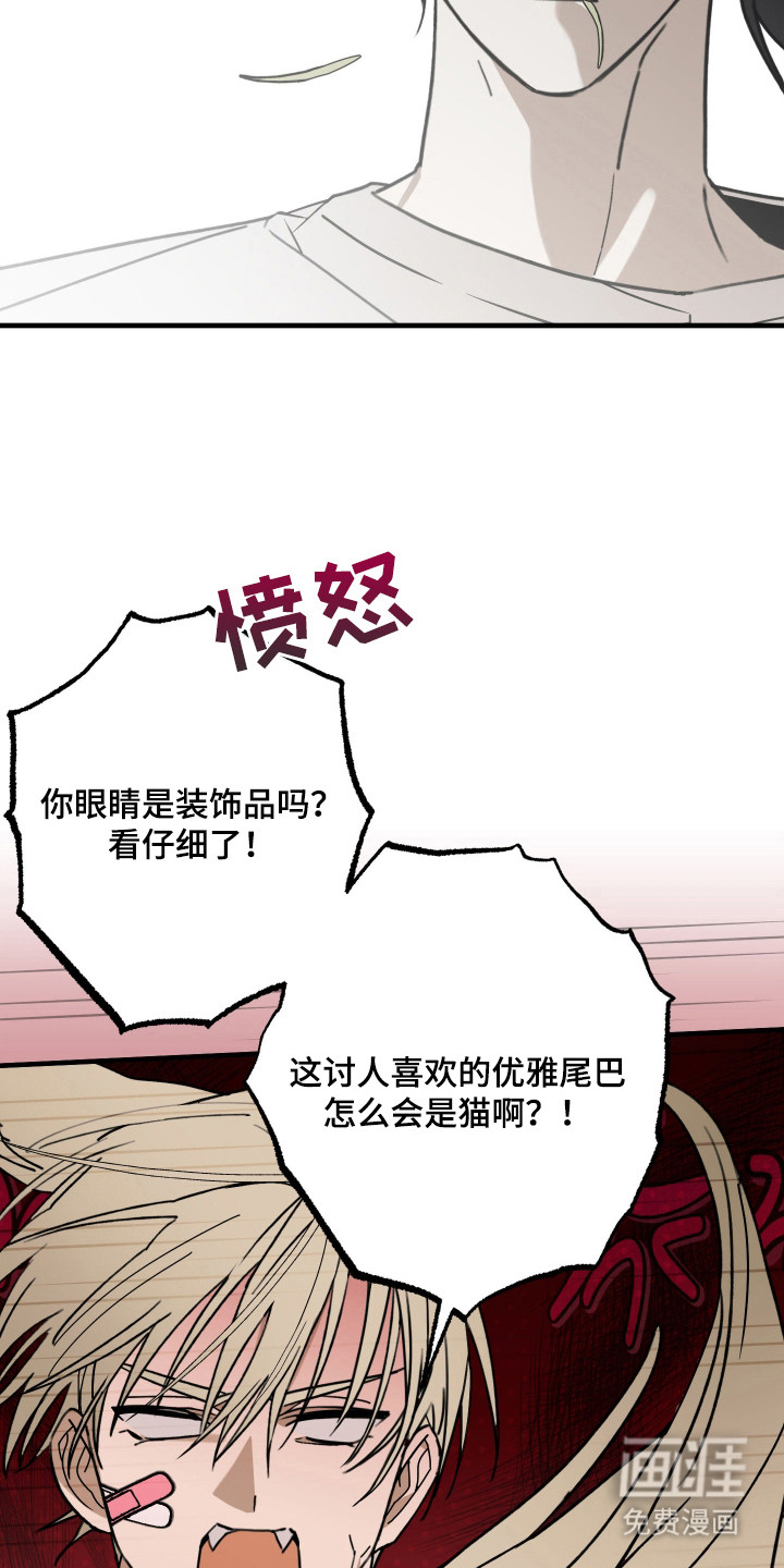 第11话4