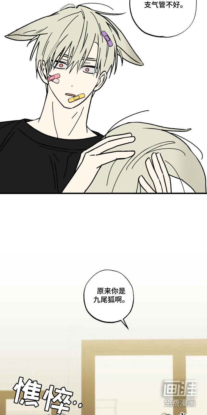 第11话7