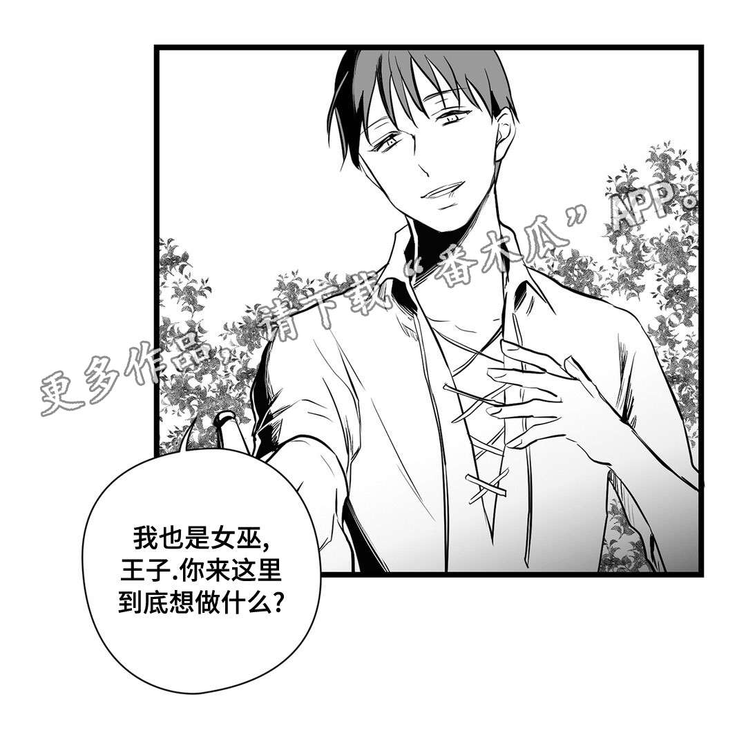 第23话13