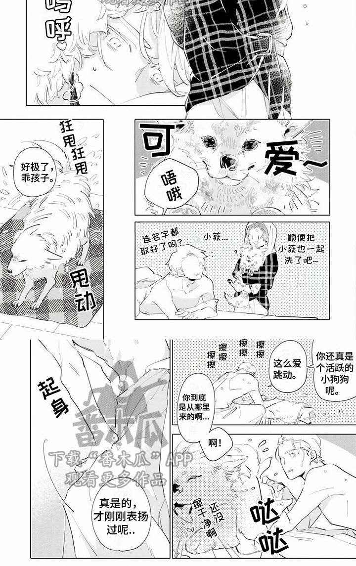 第15话17