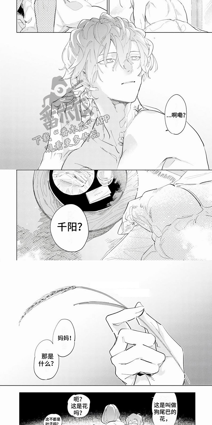 第9话5