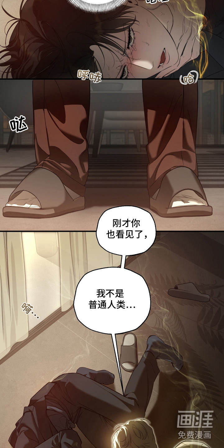 第5话5
