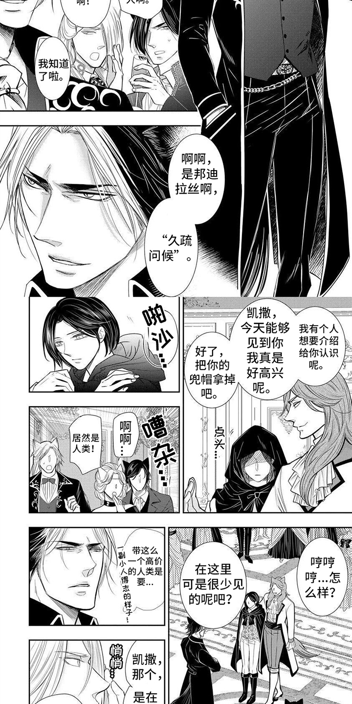 第19话1