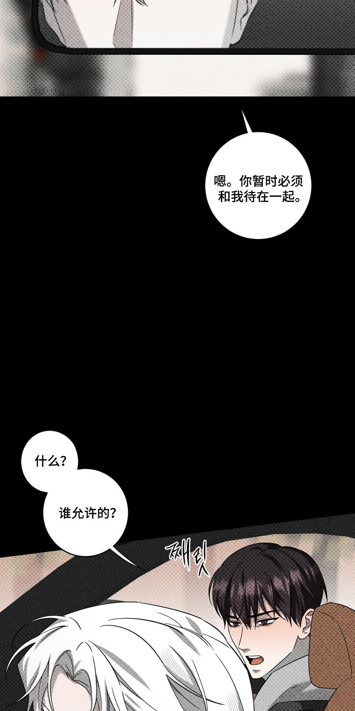 第52话5