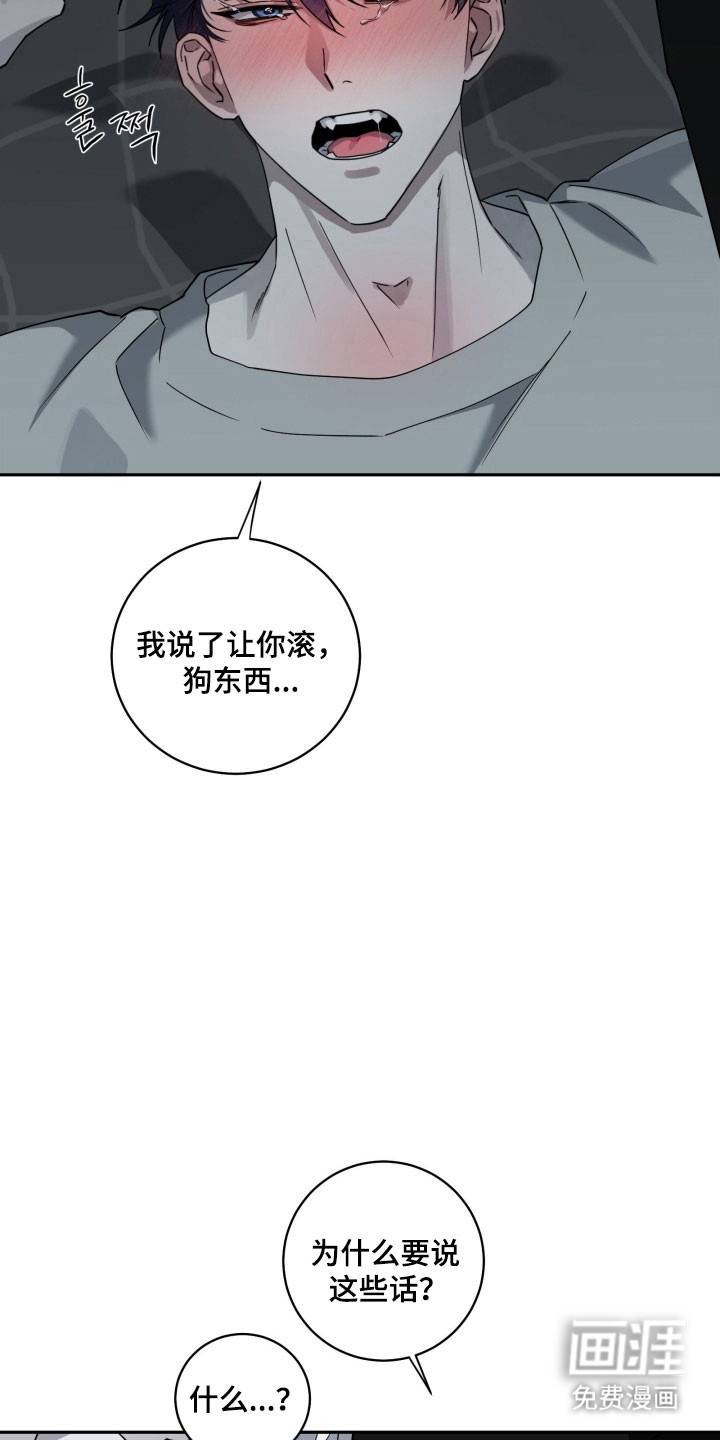 第25话11