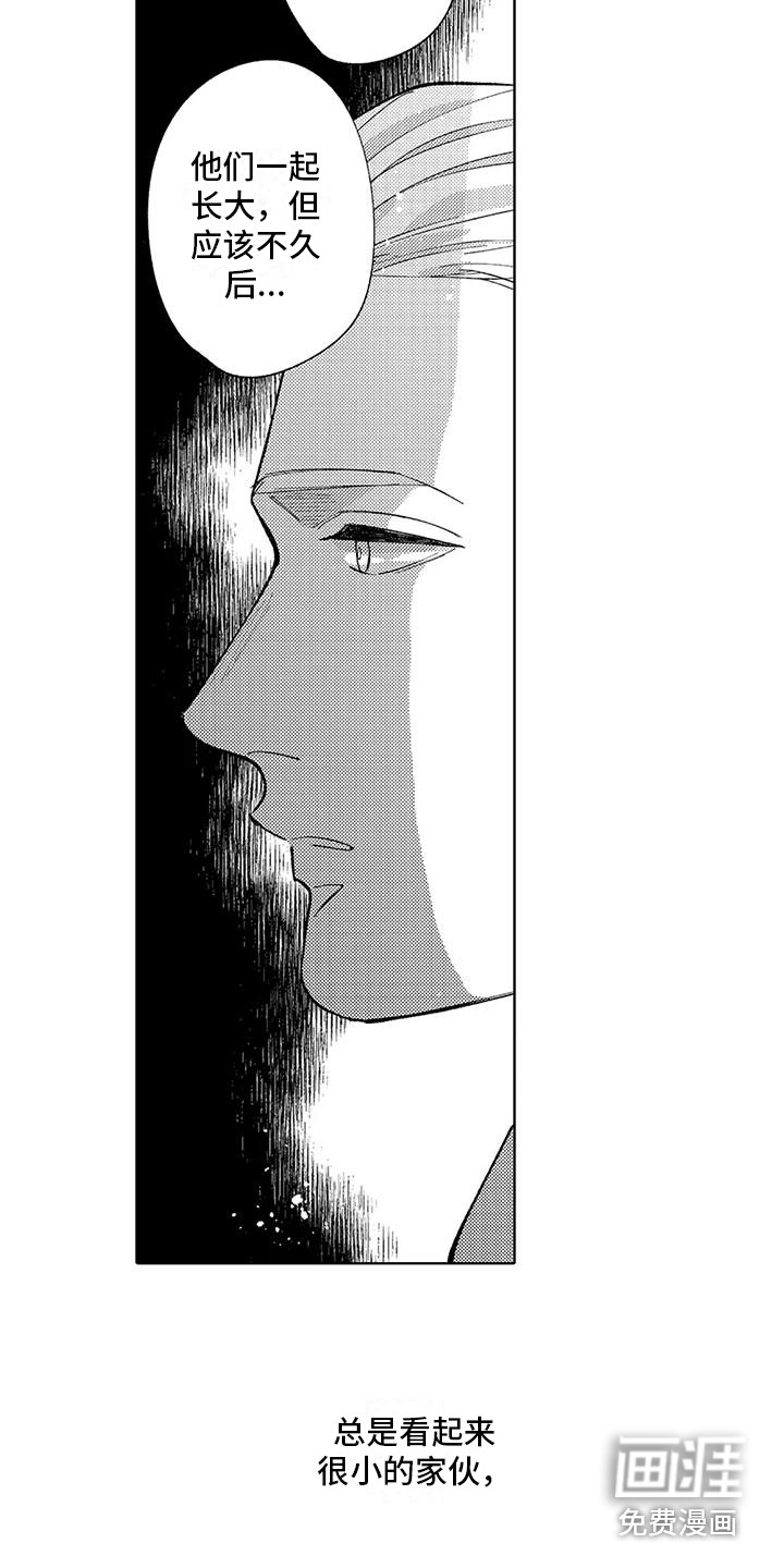 第11话5