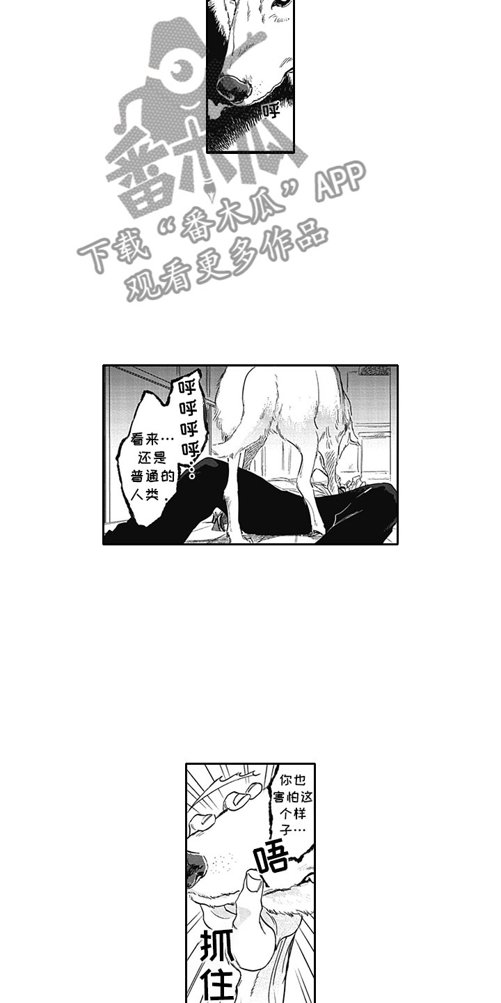 第6话8