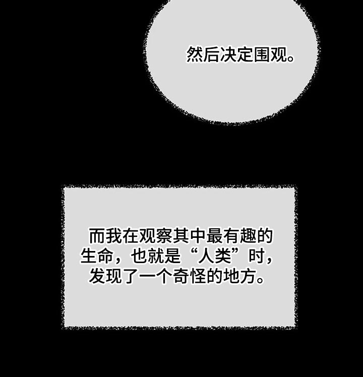 第77话31