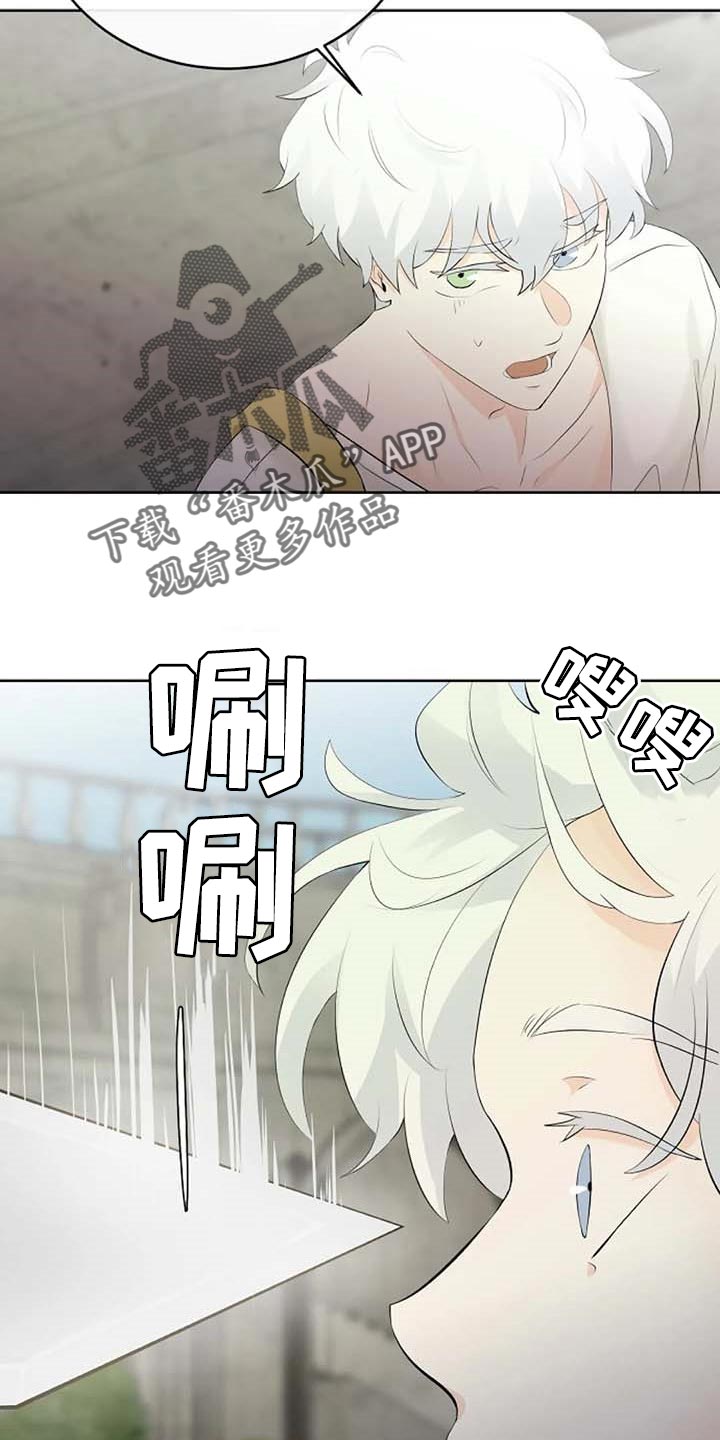 第56话16
