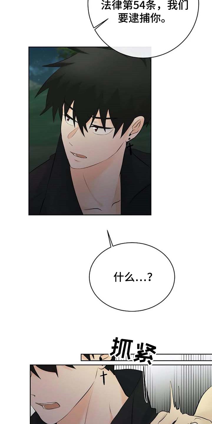 第51话22
